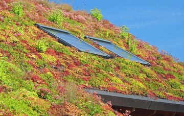 Fittleworth living roof systems
